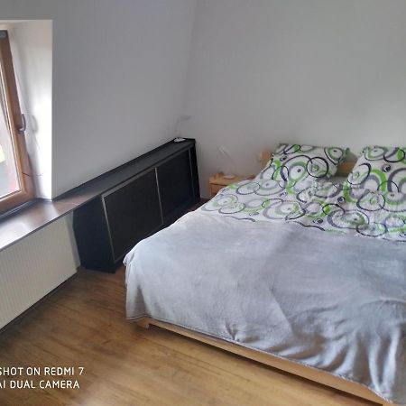 Nad Galeria Apartment Duszniki Zdroj Bagian luar foto